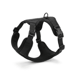 Standard padded harness