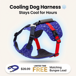 ParoPet No Pull Dog Harness