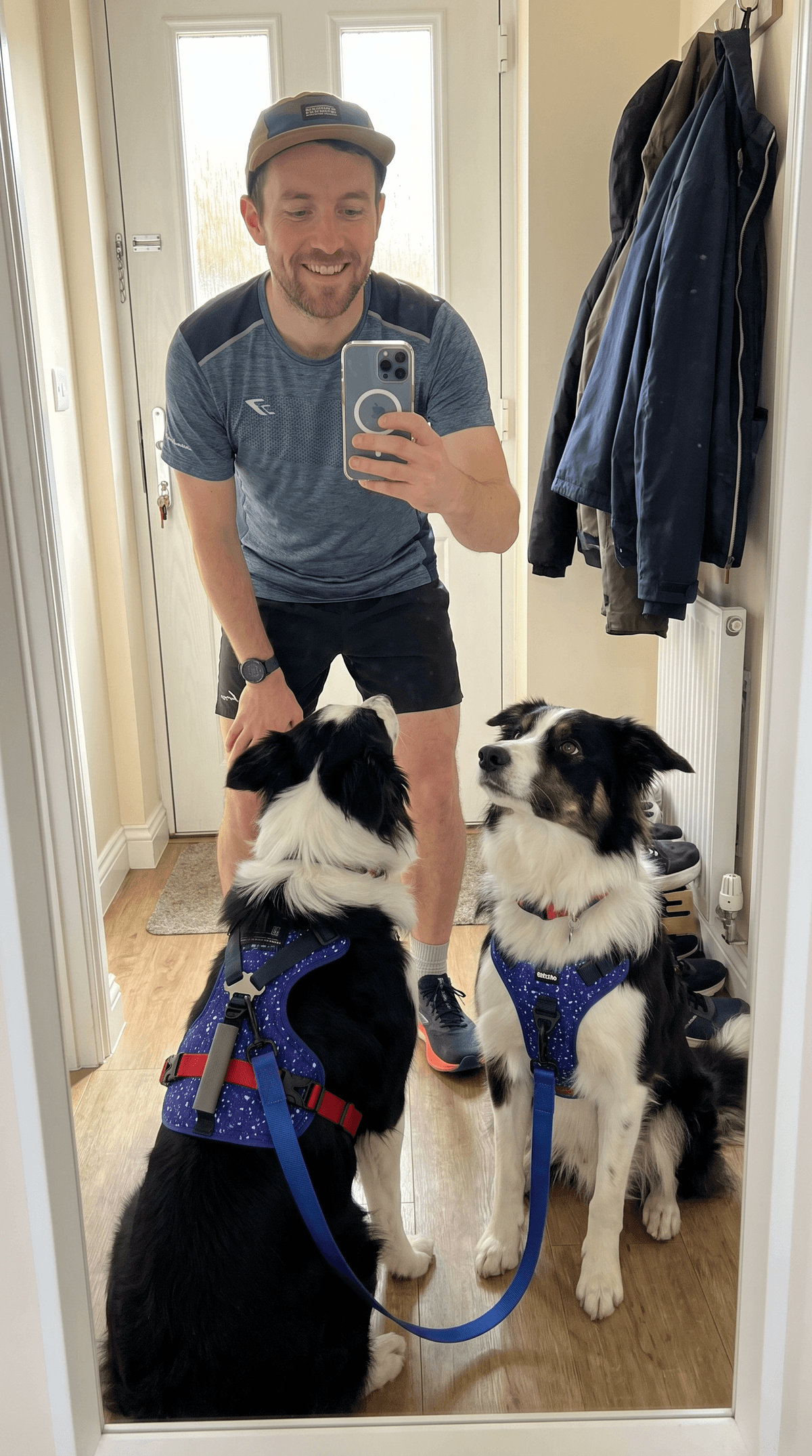 Scott J.'s dog in the LEOLAB harness