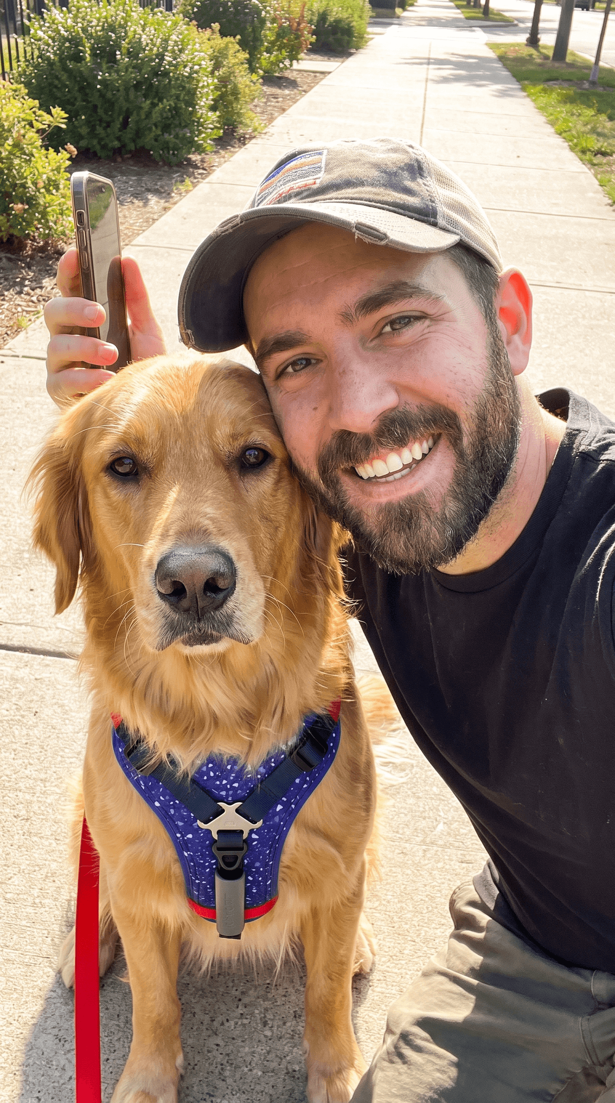 Luci N.'s dog in the LEOLAB harness